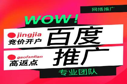百度推广代运营公司案例分析
