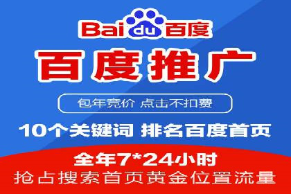 谷歌SEM案例研究：数据分析与效果评估